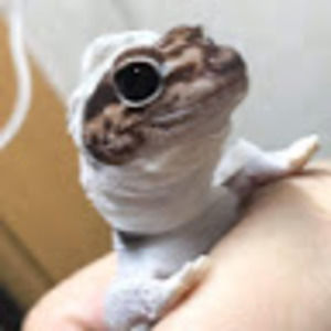 Meet your Posher, Mike